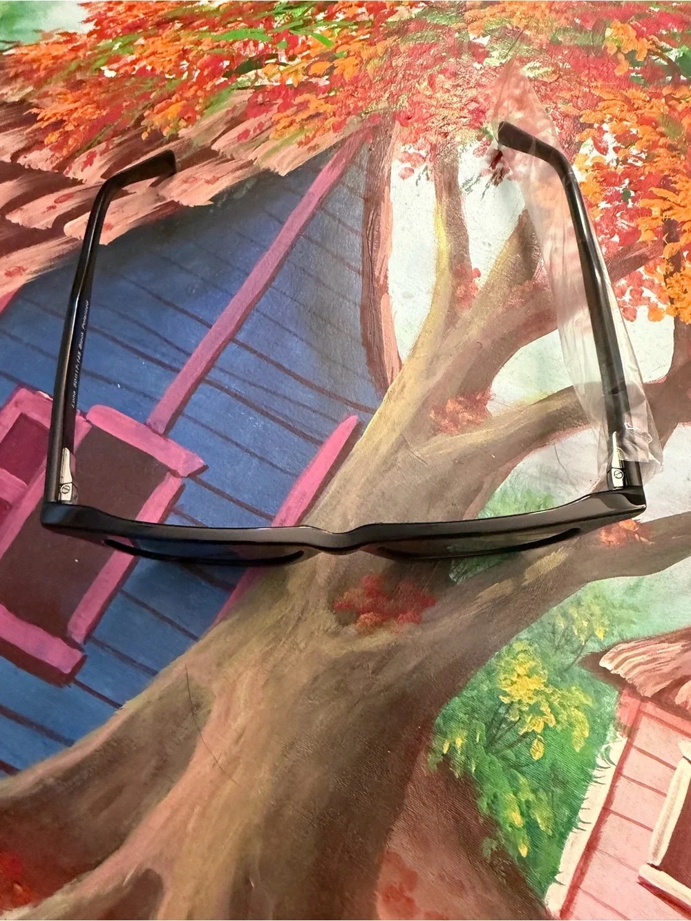 QUINCE Luna Polarized Acetate Sunglasses